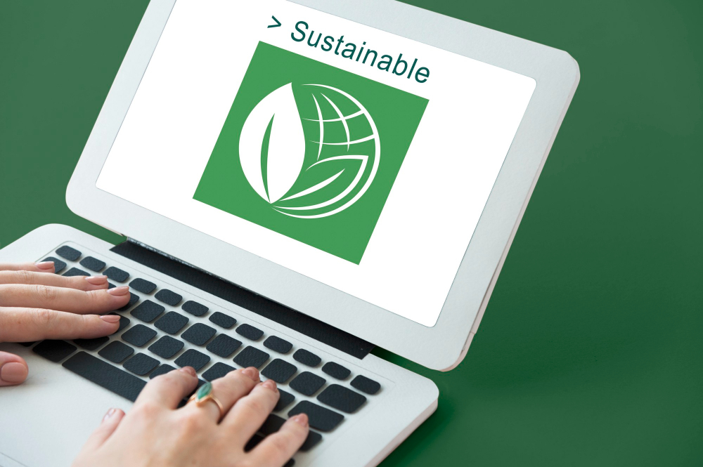 Estimating and reducing the environmental footprint of a website: where to focus your efforts?